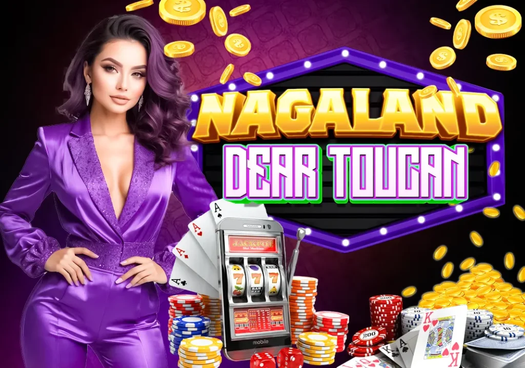 Nagaland Dear Toucan